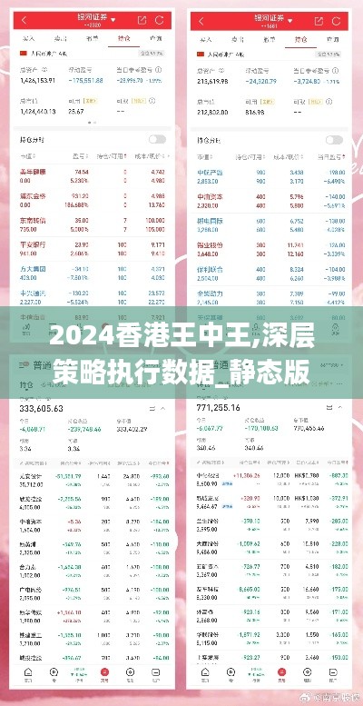 2024香港王中王,深层策略执行数据_静态版2.221