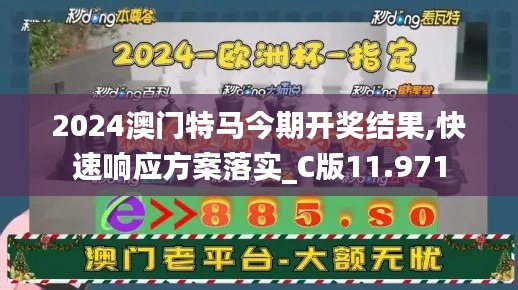 2024澳门特马今期开奖结果,快速响应方案落实_C版11.971