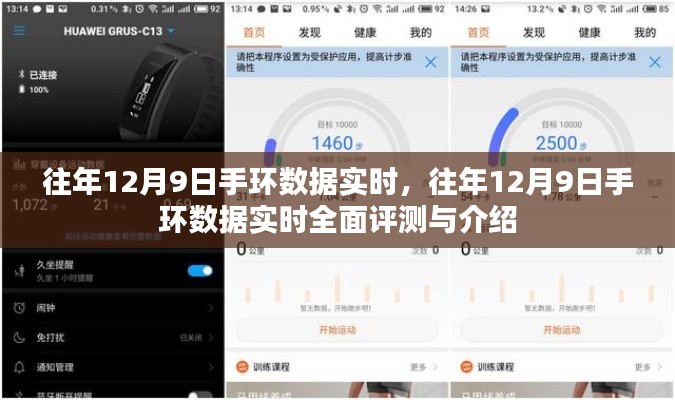 往年12月9日手环数据实时全面解析与评测介绍