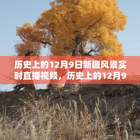 历史上的12月9日新疆风景实时直播全景攻略，从入门到进阶的观看体验