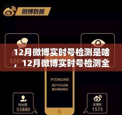 12月微博实时号检测详解，全攻略与操作指南