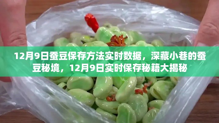 12月9日蚕豆保存秘籍，探寻深藏小巷的实时保存秘籍大揭秘！