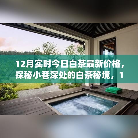 凤毛麟角 第2页