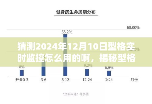 揭秘型格实时监控，预测未来的应用趋势与操作指南（以型格实时监控在2024年的应用为例）