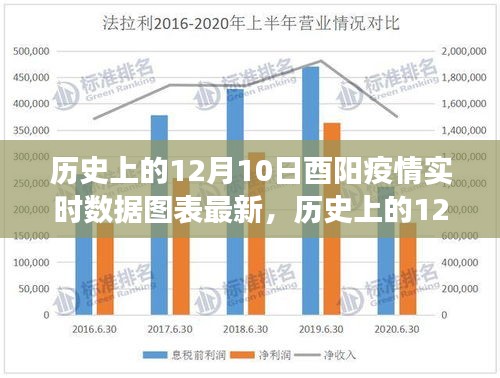 历史上的12月10日酉阳疫情数据深度解析，实时图表分析与演变窥探