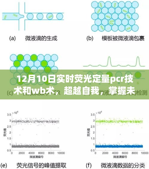 实时荧光定量PCR技术与WB术的魅力之旅，超越自我，掌握未来技术