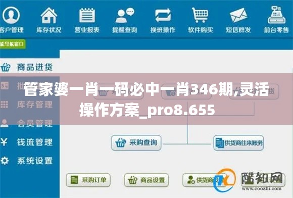 管家婆一肖一码必中一肖346期,灵活操作方案_pro8.655