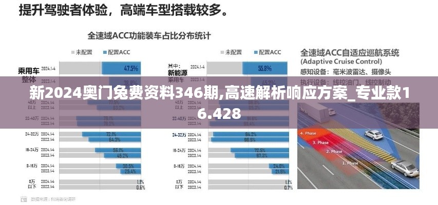 新2024奥门兔费资料346期,高速解析响应方案_专业款16.428