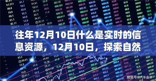 往年12月10日，实时信息资源探索与心灵自然之旅的宁静喜悦探索