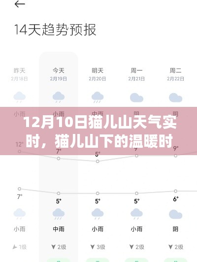 猫儿山下的温暖时光，12月10日的天气与友情记事实时播报