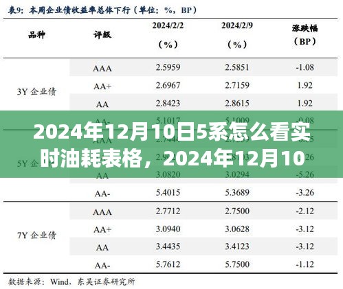 实时油耗表的奇妙之旅与友情的温暖瞬间（2024年12月10日观察）