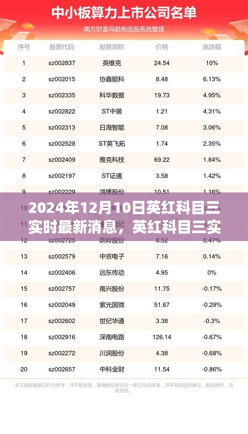 英红科目三实时更新，聚焦最新动态与影响洞察