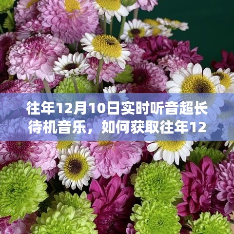 往年12月10日实时听音超长待机音乐的获取与体验，详细步骤指南