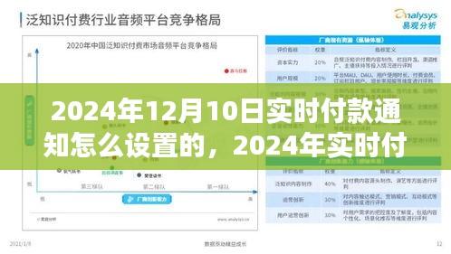 探究最佳实践与策略，实时付款通知设置详解及实时付款通知设置策略（适用于2024年）