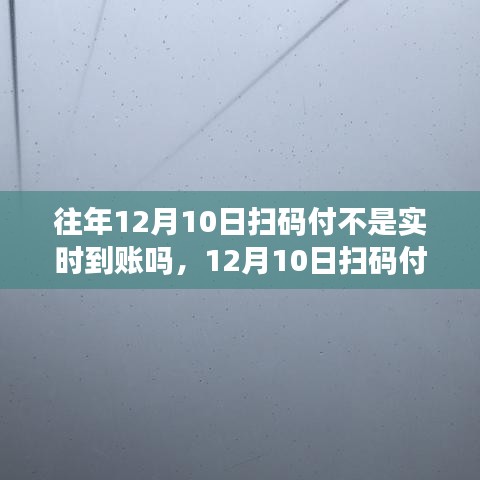 揭秘扫码支付背后的故事，一场自然美景的心灵之旅