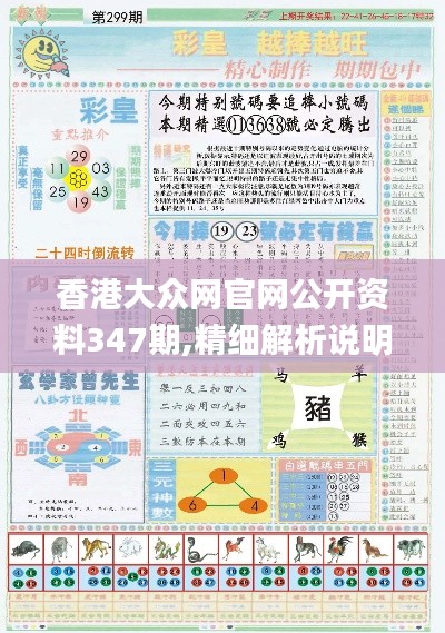 香港大众网官网公开资料347期,精细解析说明_探索版5.566