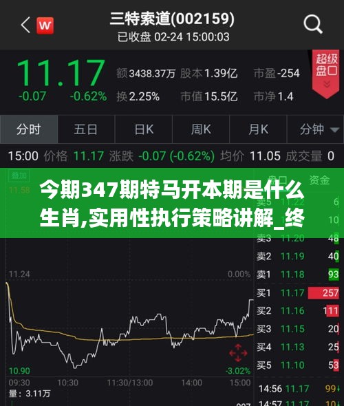 今期347期特马开本期是什么生肖,实用性执行策略讲解_终极版9.654