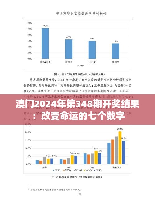 澳门2024年第348期开奖结果：改变命运的七个数字