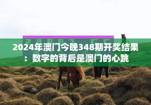 2024年澳门今晚348期开奖结果：数字的背后是澳门的心跳