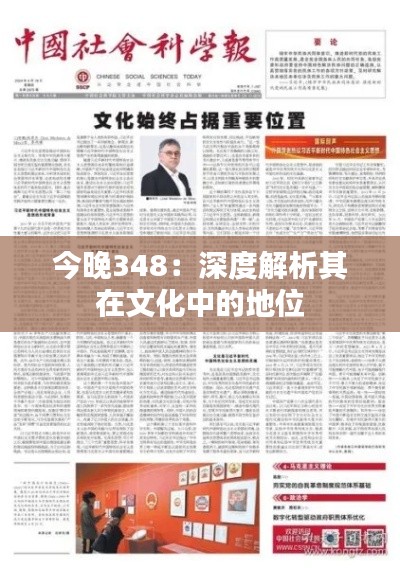 今晚348：深度解析其在文化中的地位