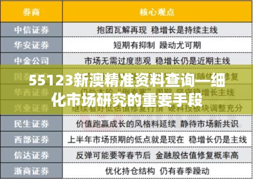 55123新澳精准资料查询—细化市场研究的重要手段