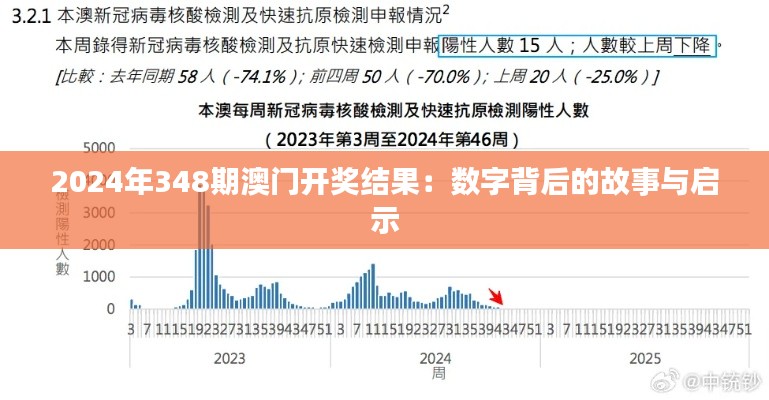 2024年348期澳门开奖结果：数字背后的故事与启示