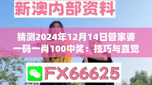 猜测2024年12月14日管家婆一码一肖100中奖：技巧与直觉的博弈