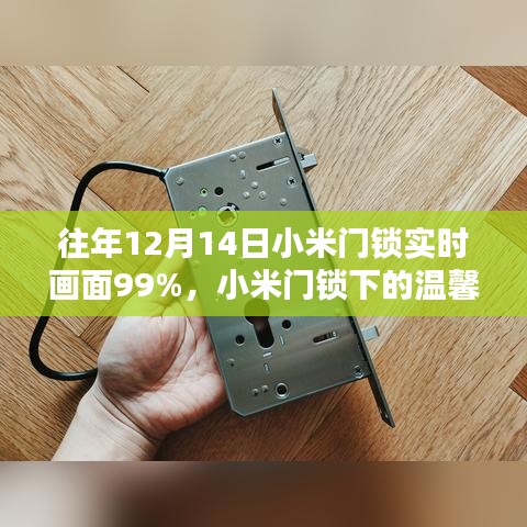 小米门锁下的温馨时光，特殊日常回忆与实时画面回顾