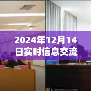 云端相聚，爱在实时交流，2024年实时信息交流概览