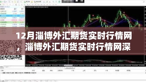 淄博外汇期货实时行情深度解析与观点探讨