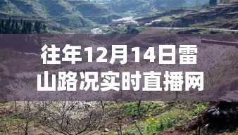 往年12月14日雷山路况全面回顾，实时直播与深度解析路况报告