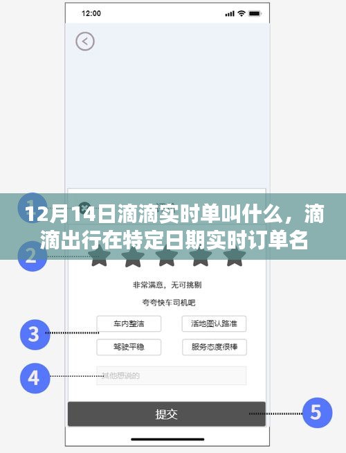 滴滴出行特定日期实时订单名称揭秘，12月14日滴滴实时单命名解析