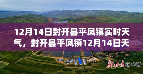 封开县平凤镇12月14日天气概况，实时分析、影响探讨及应对观点