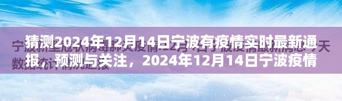 宁波疫情预测与实时关注，2024年12月14日最新通报与预测分析