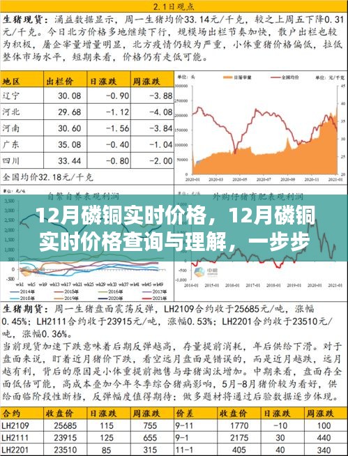 掌握行情信息，12月磷铜实时价格查询与解析