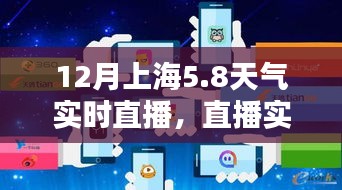 上海12月5日天气实况直播，冬日魔都的独特魅力揭秘