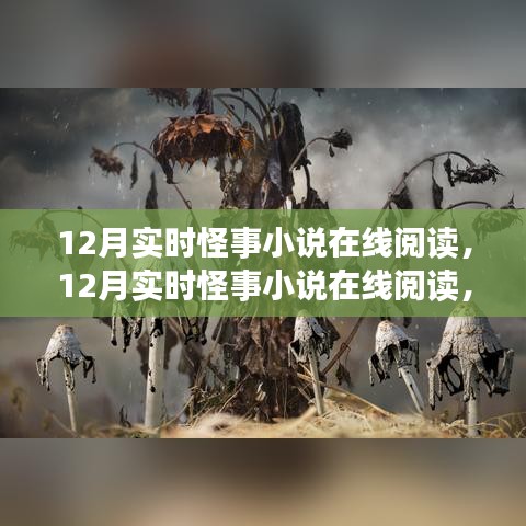 探秘奇异世界，十二月实时怪事小说心跳阅读之旅在线开启