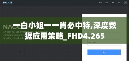 一白小姐一一肖必中特,深度数据应用策略_FHD4.265