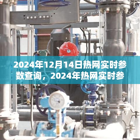 掌握未来网络数据的关键，2024年热网实时参数查询详解