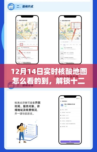 十二月实时核酸地图导航，解锁神奇密码的心灵之旅