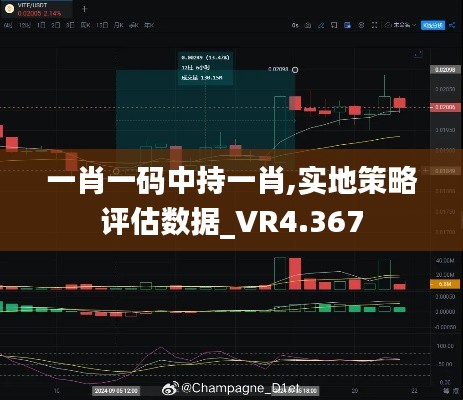 一肖一码中持一肖,实地策略评估数据_VR4.367