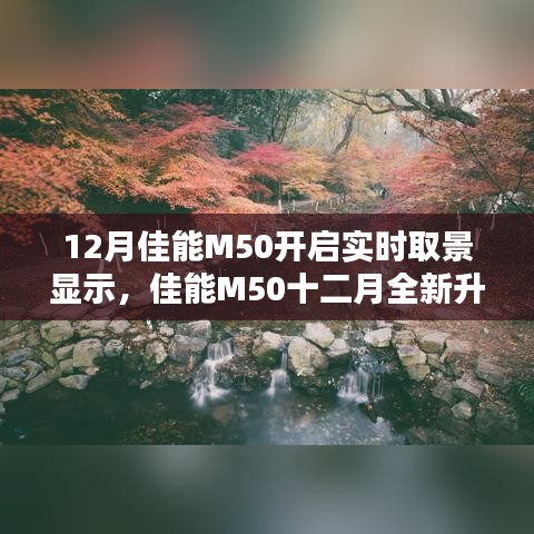 佳能M50十二月升级，实时取景显示引领科技潮流，重塑摄影艺术新体验