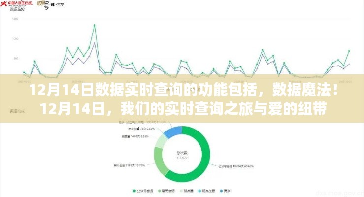 12月14日数据实时查询之旅，魔法般的体验与爱的连接