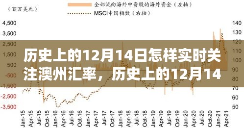 历史上的12月14日澳州汇率深度关注与评测，实时体验与反馈分析