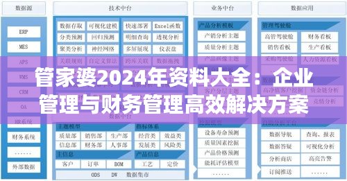 管家婆2024年资料大全：企业管理与财务管理高效解决方案