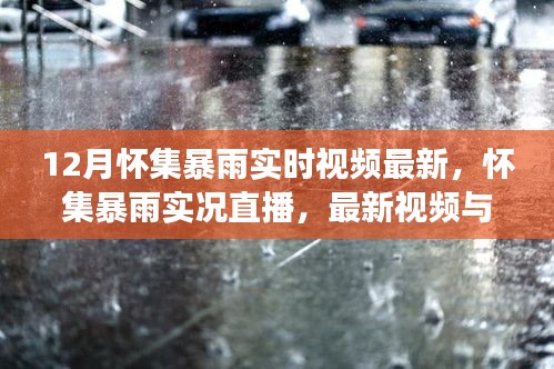 怀集暴雨实况直播，最新视频、详细解读与实时更新