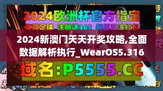 2024新澳门天天开奖攻略,全面数据解析执行_WearOS5.316