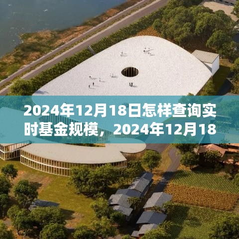 如何轻松查询实时基金规模（针对2024年12月18日）