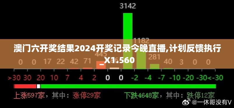 澳门六开奖结果2024开奖记录今晚直播,计划反馈执行_X1.560