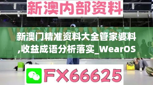 新澳门精准资料大全管家婆料,收益成语分析落实_WearOS10.791